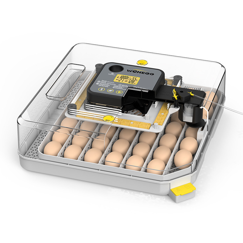 48H Dual eléctrico