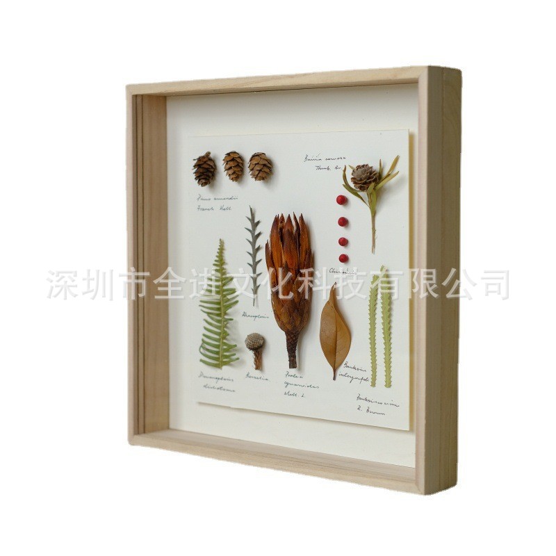干花永生花相框礼物植物标本昆虫蝴蝶动物标本装饰挂画摆件玻璃盒
