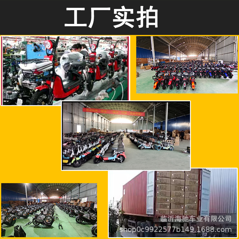 Fabricante de triciclos eléctricos de ocio, padres e hijos, ancianos, scooter de ayuda, hogar pequeño, batería de cobertizo, tres ruedas