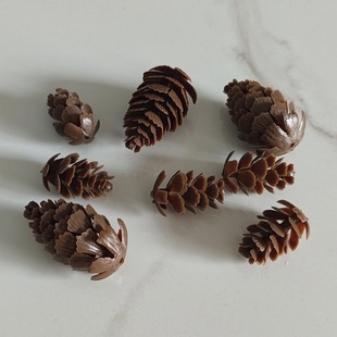 �����ɹ� �}�Q�Ʒ �����ɹ� �}�Q���b� �}�Q��ˇƷ���DIY