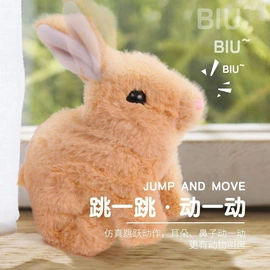 电子宠物;毛绒玩具;电动公仔