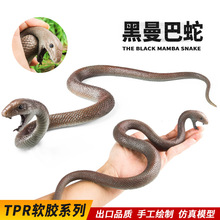 �羳��ͯ�J֪TPR����ܛ�z���������������R�߷������ģ���f�}��