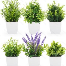 �S��ֱ�N �羳���l ����Gֲ�Ҿ��k���ٻ��b��҃Ȕ[������С�辰