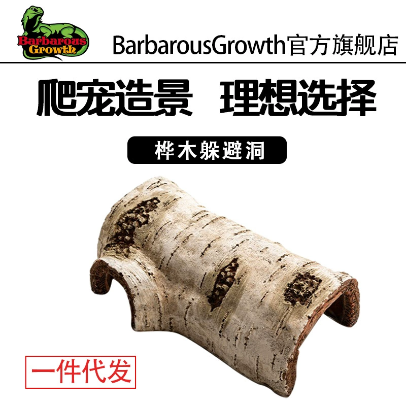 Фабрика Прямое восхождение домашнее животное береза укрытие коробка приют дом приют отверстие домашнее животное рептилия ящерица озеленение