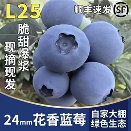 苹果;梨;瓜果类