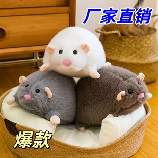 �羳�ɐۻ�֦��ë�q��߱������M��ż���������նY���ִ����