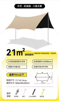 Outdoor Vinyl Sunshade Canopy Avtomobil yan çətirləri - 21-sunshade-vinyl-cream-coffee-8-10-people