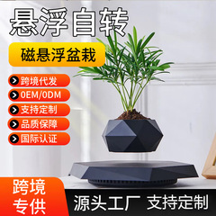 磁気浮上鉢植えの新奇特な植木鉢創意盆栽工芸品プレゼント教師の日プレゼント客間置物卸売り