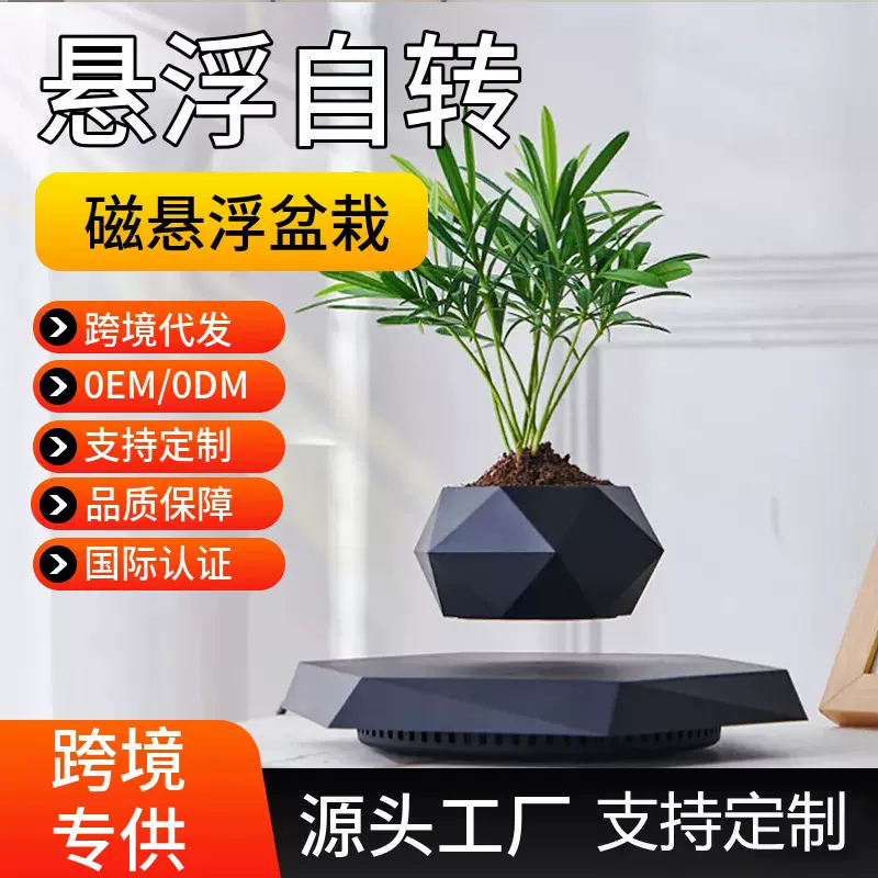 磁悬浮盆栽新奇特花盆创意盆景工艺品礼品教师节礼物客厅摆件批发