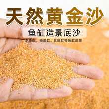 黄金沙南美鼠鱼缸装饰底砂天然溪流石沙草缸水陆造景细河沙水草砂