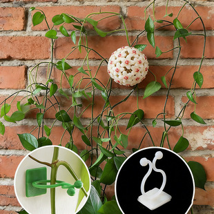 �G�}�̶�������ֲ��Gֲ�������������h늾��̶����������͹̶��A