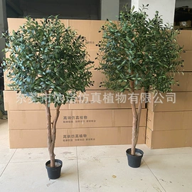 植物工艺品;仿真盆栽;仿真绿植