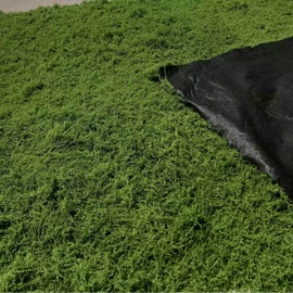 仿真绿植;鲜花花艺制品;仿真花