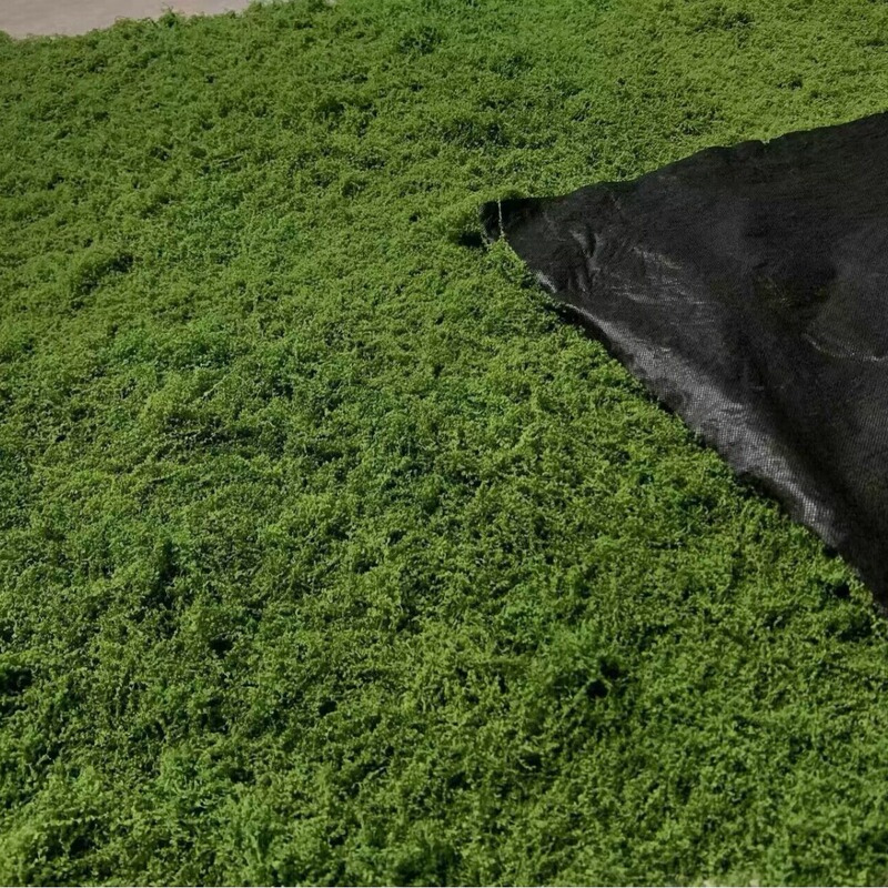 Simulated White Hair Moss, Filamentous Moss, Lawn Greenery, Simulated Wool Moss, Green Moss Landscape Arrangement, Lawn Bonsai, Potted Plants Simulated White Hair Moss, Filamentous Moss, Lawn Greenery, Simulated Wool Moss, Green Moss Landscape Arrangement, Lawn Bonsai, Potted Plants
