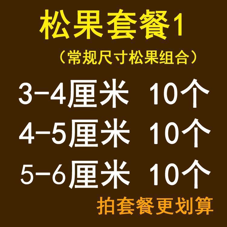 シドニー紙幼稚園環創テーマ材料家共育柵壁紙壁面装飾植物角連絡森林|undefined