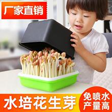 小豆苗 小豆苗品牌 图片 价格 小豆苗批发 阿里巴巴