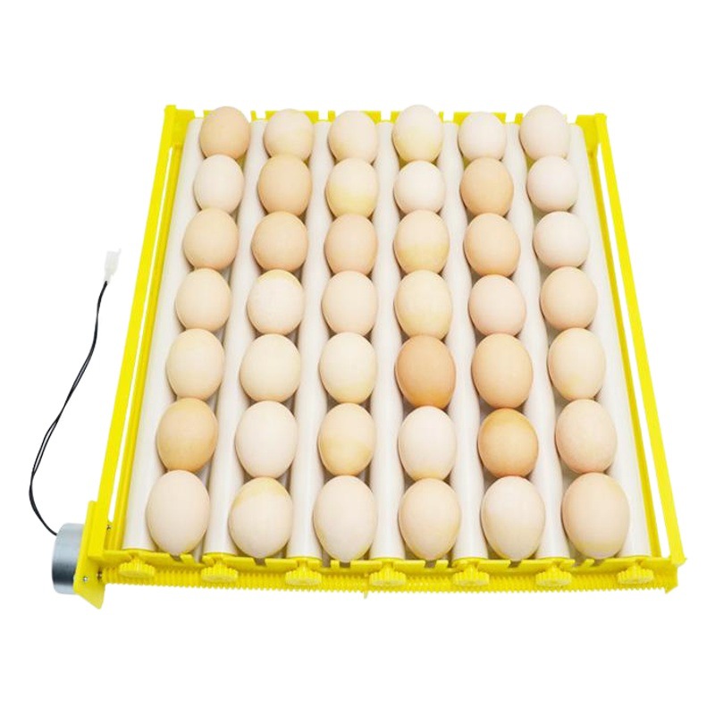 Incubadora pequeña placa de huevo hogar multifunción placa de huevo automático pollo pato ganso pájaro huevo placa rodillo huevo placa