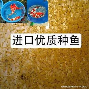 �\��ˮ���~�缃�N�ձ��t���Ѻʹ�����ɫ�p���^�p�~��ˮ�\��С���~