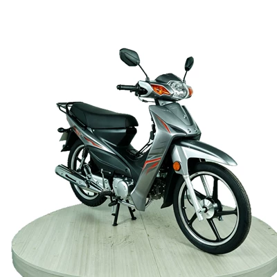 Home Commuting, and Export, Motosikletlər