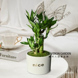 ���F���҃ȃ����՚�Gֲ�ɻ����k����С�����D�\ֲ������ļ�����