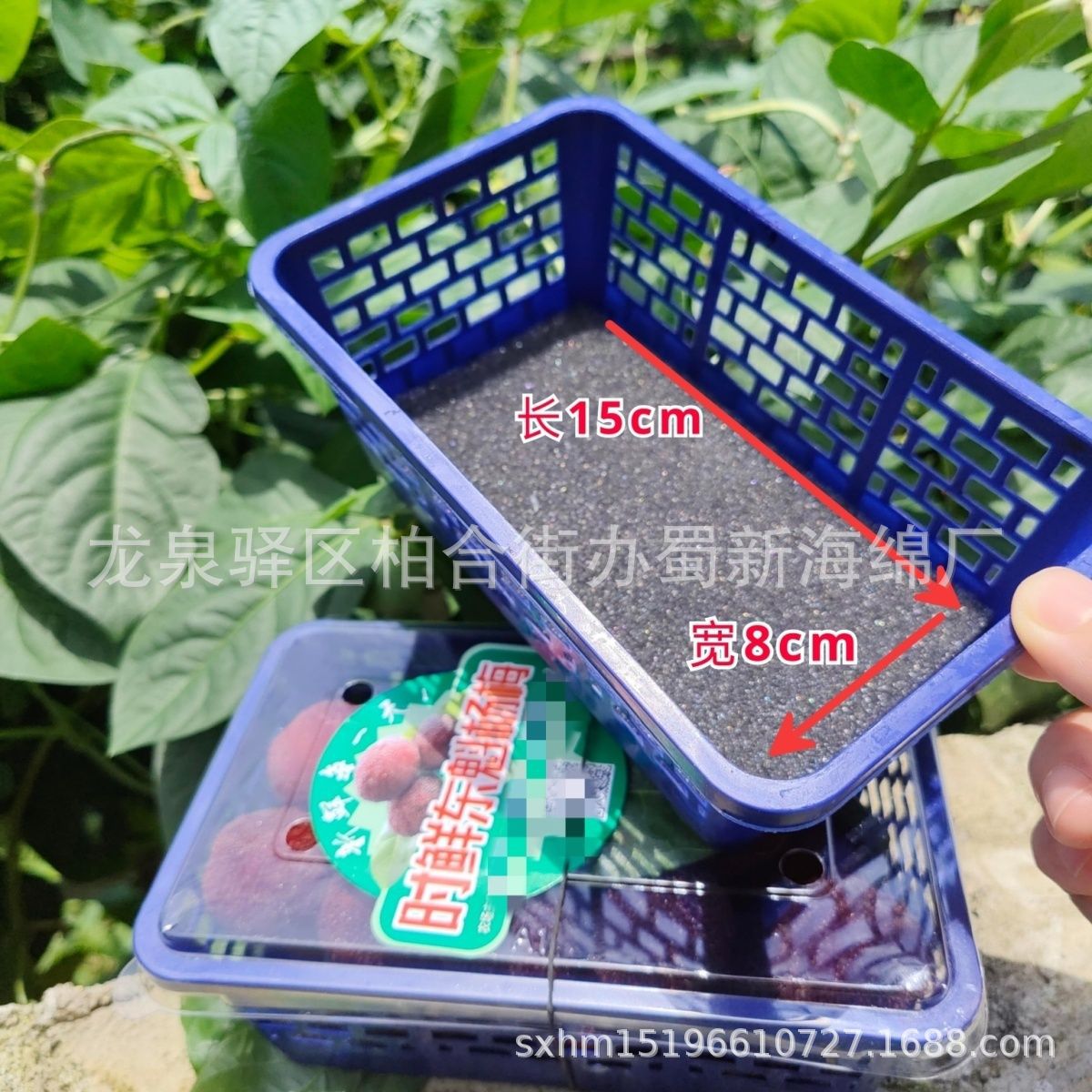 厂家供应水果缓冲包装泡沫/水果薄垫片/桑葚蓝莓杨梅垫片海绵