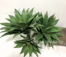 ���������m�J�C��Ƥ�m��̖����Gֲ���}���ʹ��m���m������滨