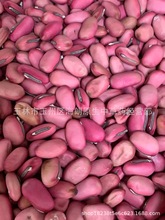 ��ș�ļt������ș�ĵ����󵶶�������ħ���������������P��������