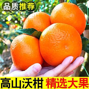 �ָ̱�֭�����ЋD�V����Ƥ�������r�������lˮ������������ٴ��l