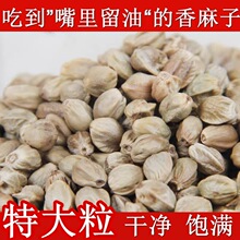 ��؛���ӬF���ش����˳������Ӵ��w������ɳ�������������Ѱ��]