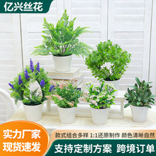 �����������Ը߼��мٻ��Gֲ����[��õ��޹�²��k��������С����