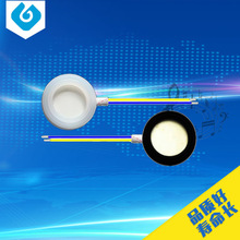 �|ݸ���a�S�ҹ���&phi;20MM�����Ӿ�1.7MHz���l�����F��Ƭ