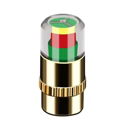 cover, tire anti-theft cap — Tire pressure monitoring system