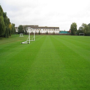 ��ƺ�N�Ӱ�����Ľ��ݷN�����ļ�������ͺ����`̤���òݾG������