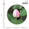 Flower bud props one size fits all