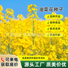 ^pͲ˻NӸ߮aեͲļ׷N͟ͺN׻