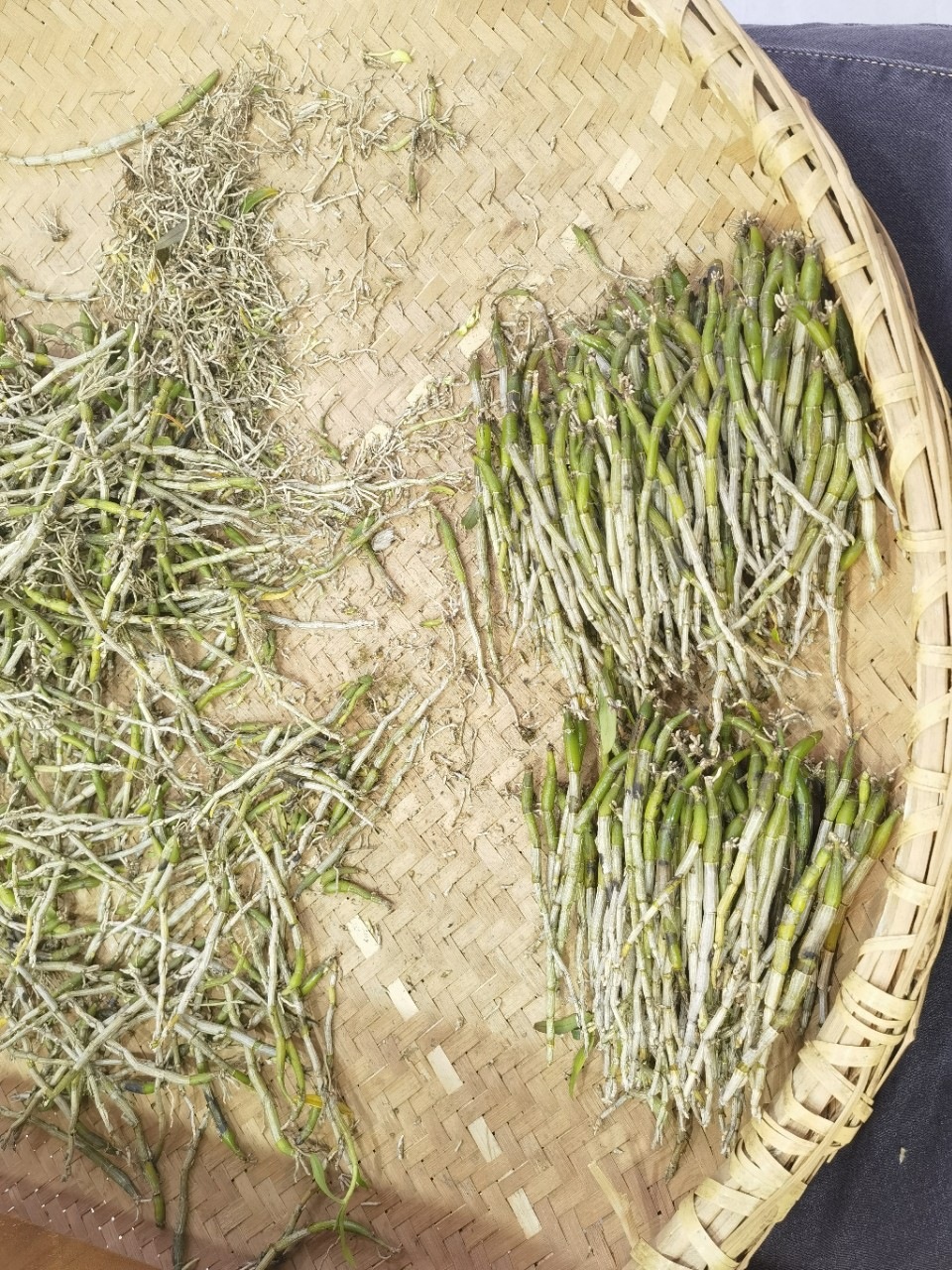 Huoshan Dendrobium Fresh Stems Mi Hu 10g+ Huoshan Shihu Freshly Picked in use