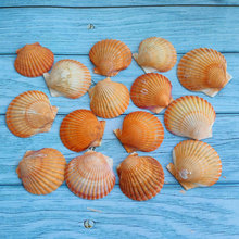 ��������ؐ���Z��ؐ�������P�۽z�[�P�b���������ؐ�����Ĵ�ؐ��