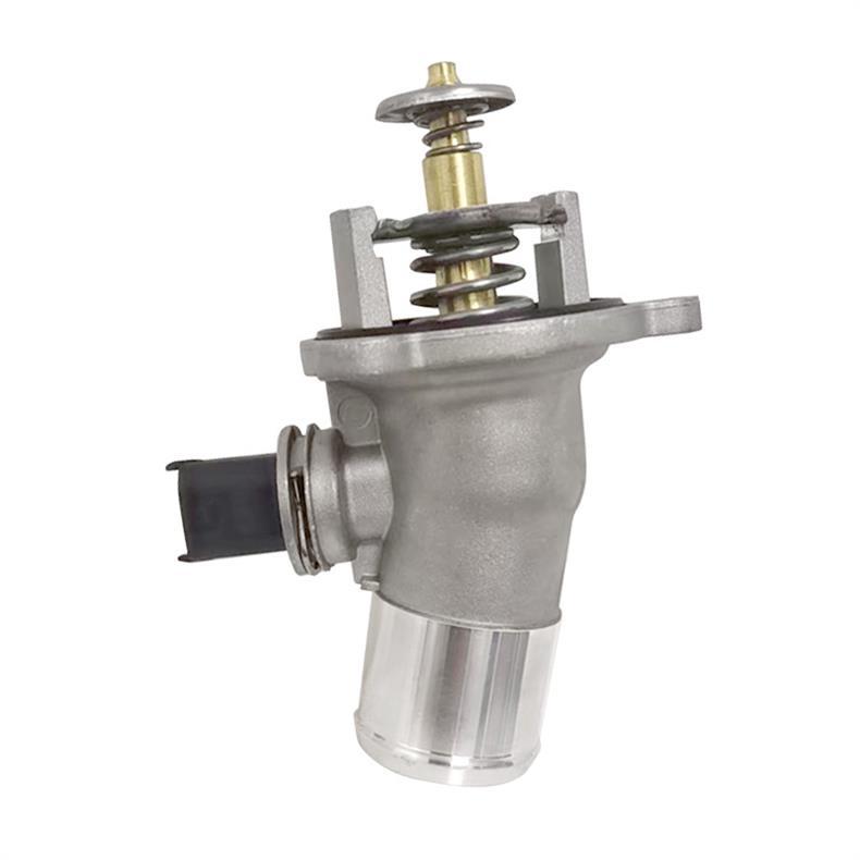 Esaever Thermostat for Chevrolet Opel 24103692 24109996