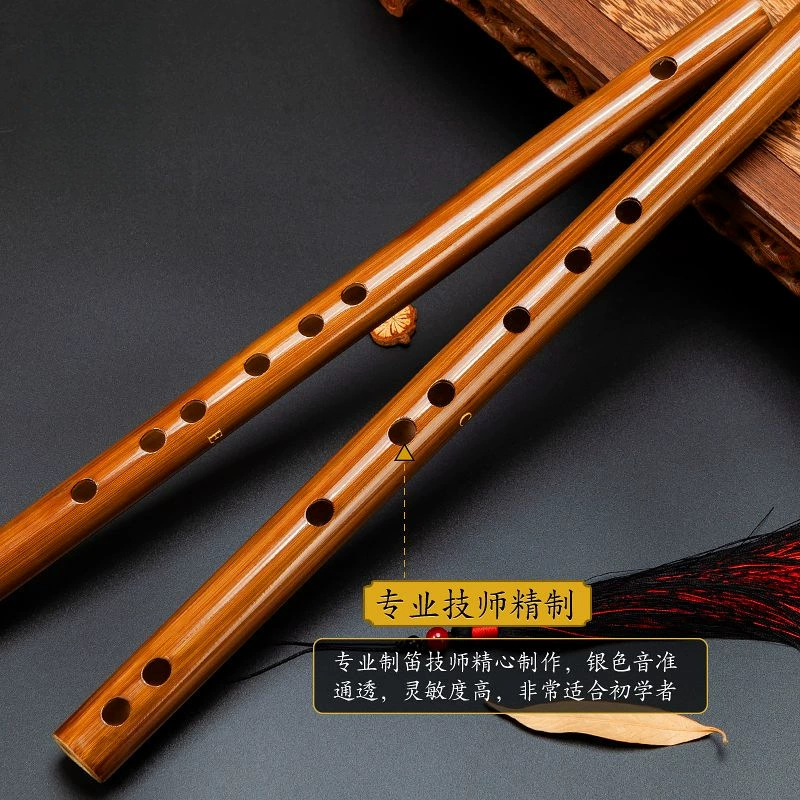 Small musical instruments for elementary school students for beginners for adults