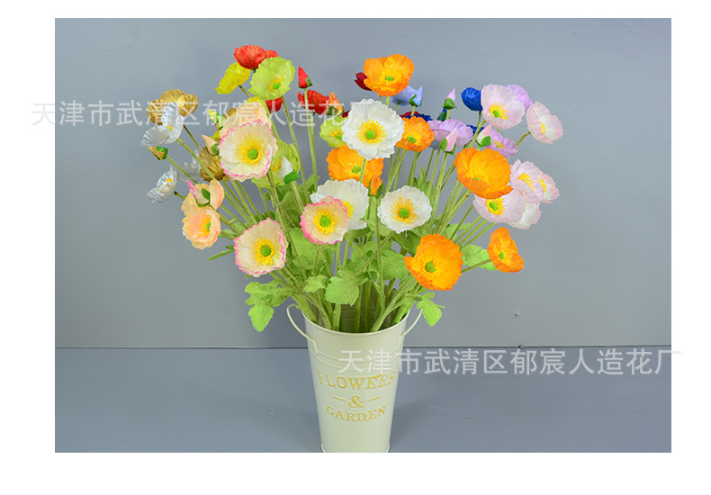 详情_08.jpg