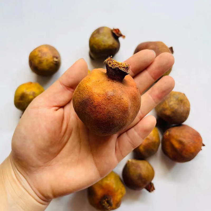 Branches de grenades artificielles pour décoration dintérieur_voghion.com