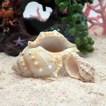 �ľ�зؐ���[����Q�ֹ��ľ�зС̖��Ʒ��״�̖��ښ��b���ɫ