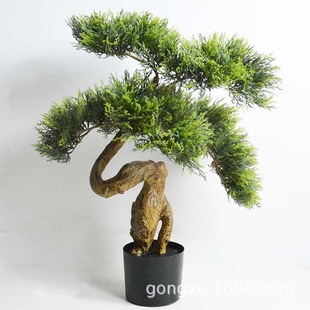 ���ӭ����ͥԺ���F���辰���͘�e���ձ��_�h�ɹŘ�����辰�L��