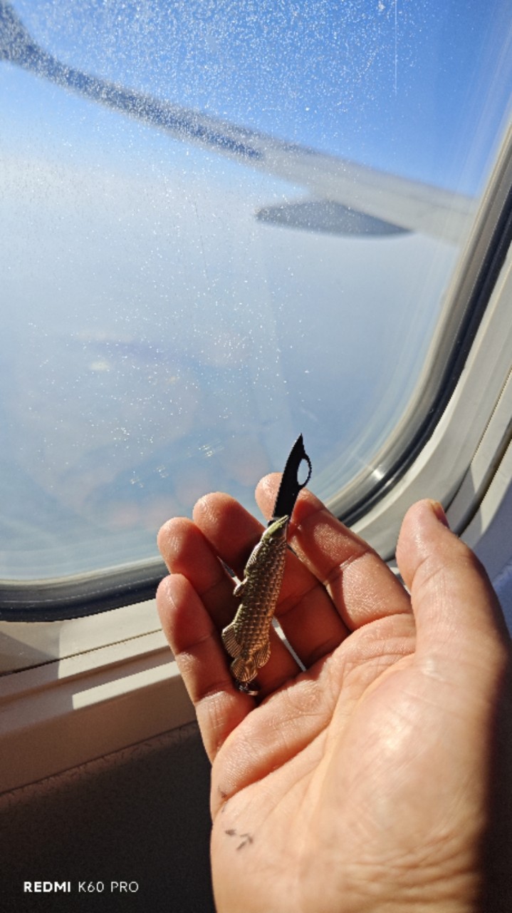 招财鱼挂件钥匙扣黄铜金龙鱼汽车钥匙扣挂件复古吊坠铜器挂饰男女