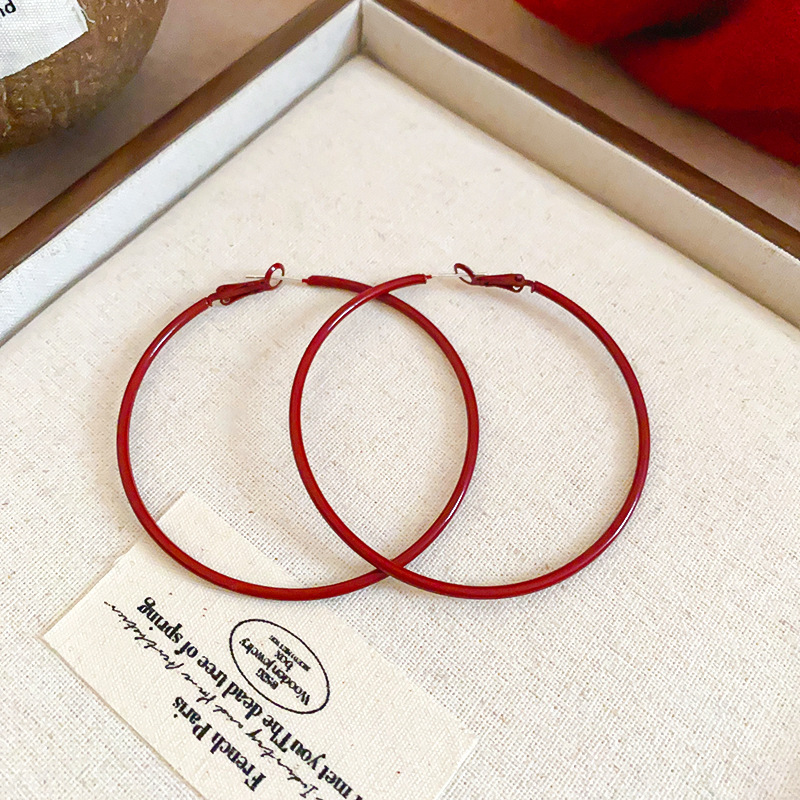 Aguja de plata Pendientes redondos simples europeos y americanos Pendientes de anillo de temperamento de todo fósforo de moda de nicho Pendientes de lujo ligero de alta gama Mujeres