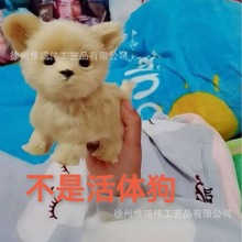 С��ë�q������㼪���޼ҾӔ[����ˇƷ�b�Ʒ�YƷ�Y��ɐ۹���