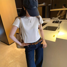 �n���Sɫ���籡�����T��Ů�ļ�2026�¿����e���s�@������������