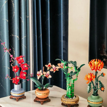 ݘ߷eľ÷mľ///b[