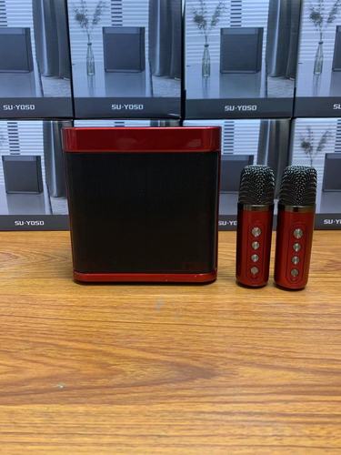 All-in-one outdoor family party set karaoke artifact 203 wireless microphone Bluetooth audio