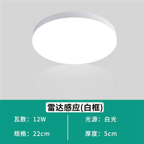 Full moon radar sensor 12 watts (diameter 22cm)